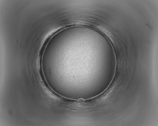 X0000111900987200908031113