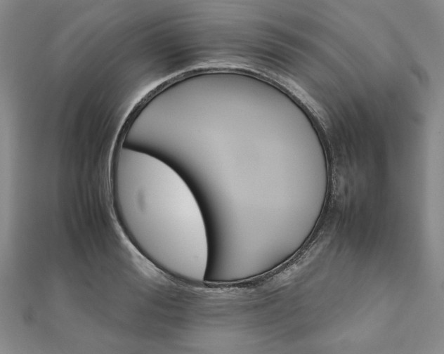 X0000111900988200908031113