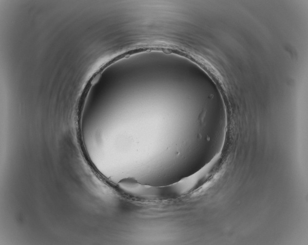 X0000111900989200908031113