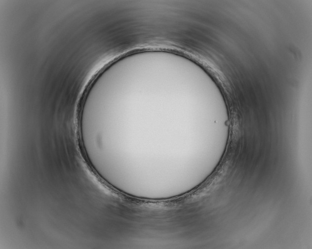 X0000111900990200908031113