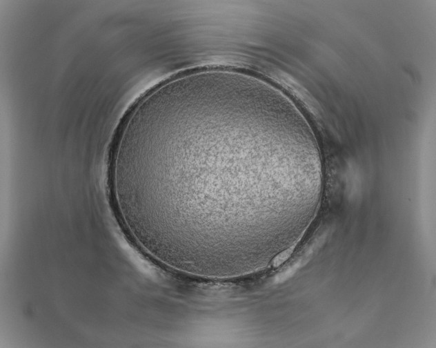 X0000111900991200908031113