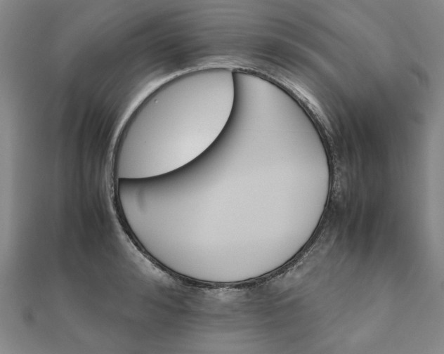 X0000111900992200908031113