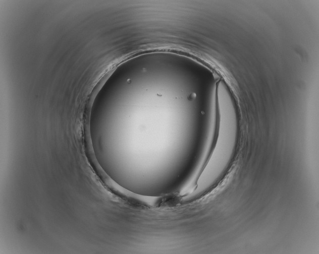 X0000111900993200908031113