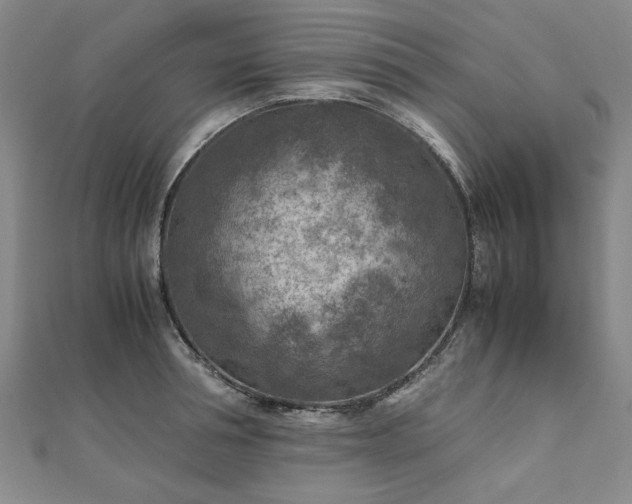 X0000111900994200908031113