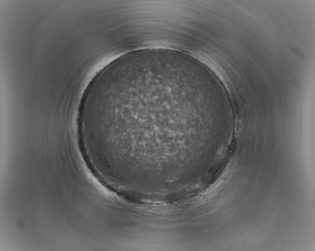 X0000111900995200908031113