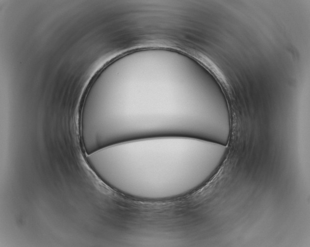 X0000111900996200908031113