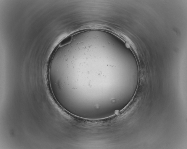 X0000111900997200908031113