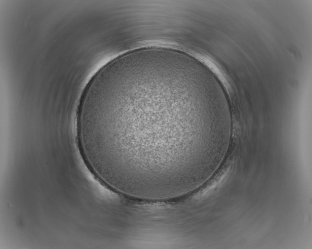 X0000111900999200908031113