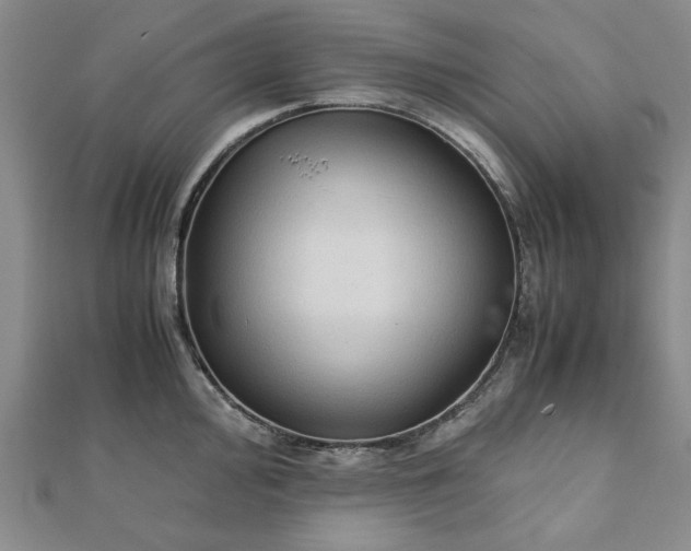 X0000111901000200908031113