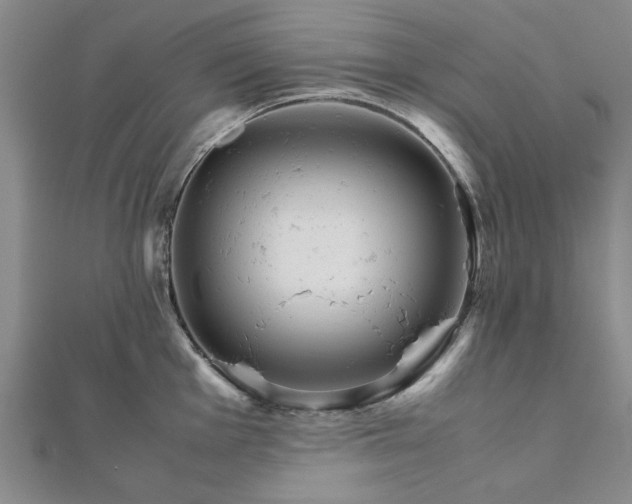 X0000111901001200908031113