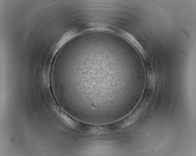 X0000111901002200908031113