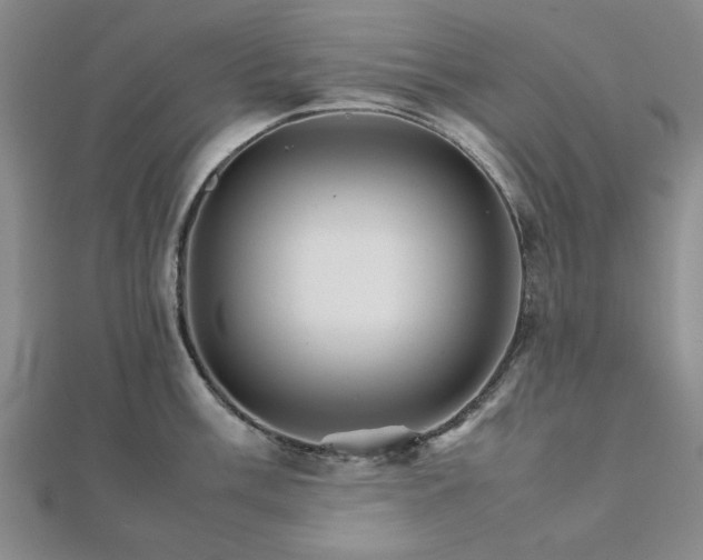 X0000111901003200908031113