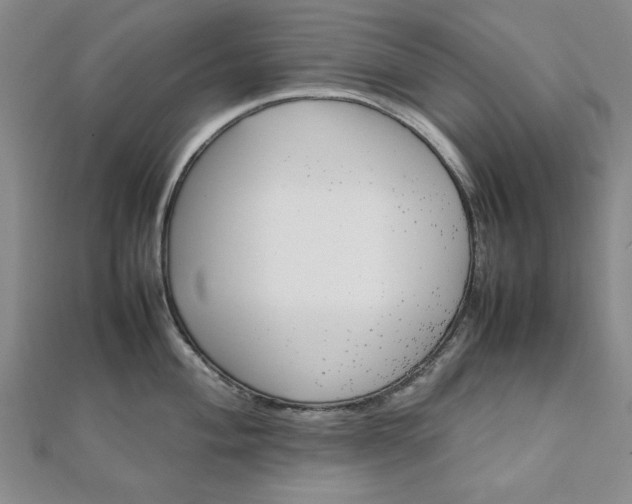 X0000111901004200908031113