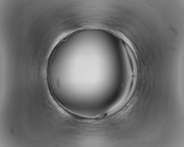 X0000111901005200908031113