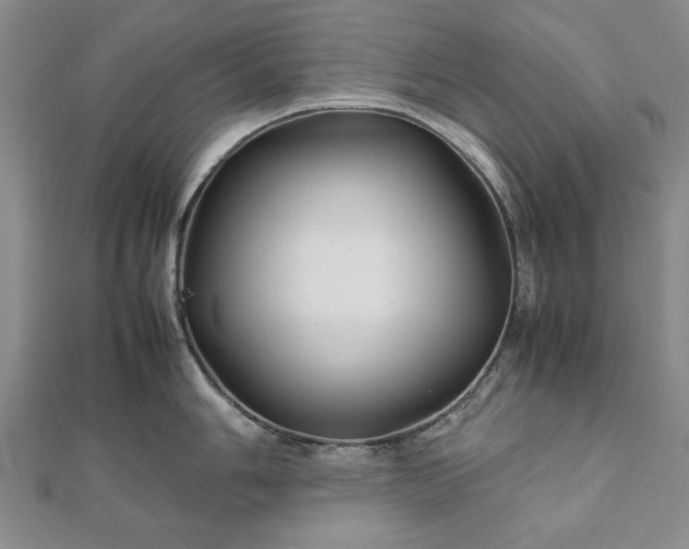 X0000111901006200908031113