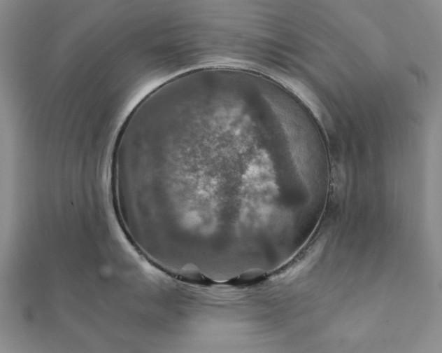 X0000111901007200908031113