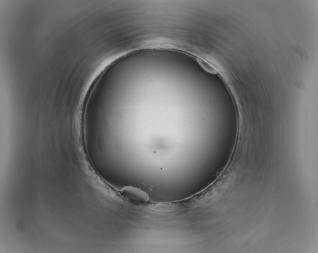 X0000111901008200908031113