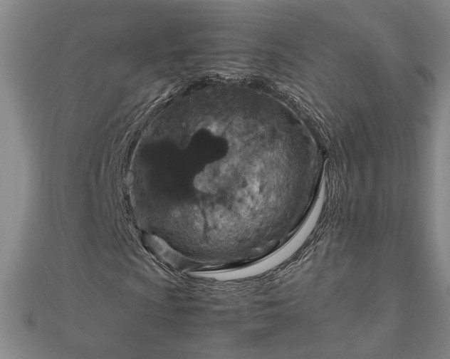 X0000111901009200908031112