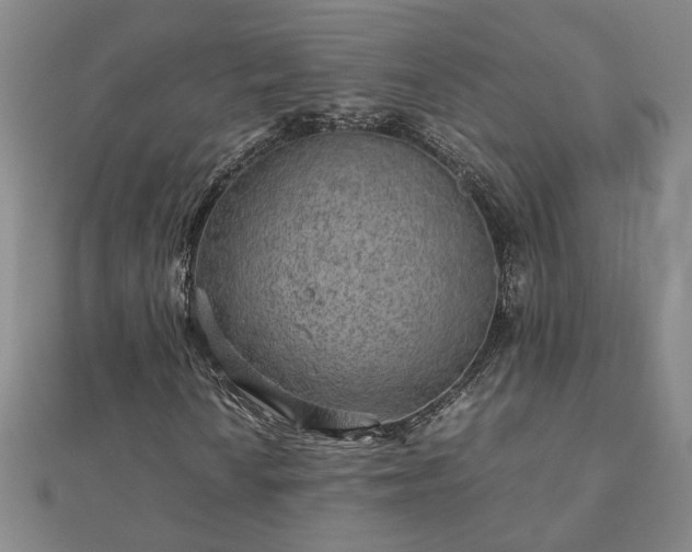 X0000111901010200908031112