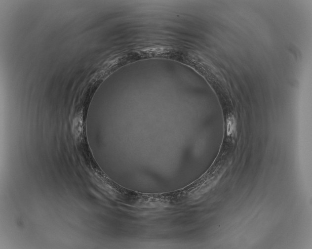 X0000111901011200908031112