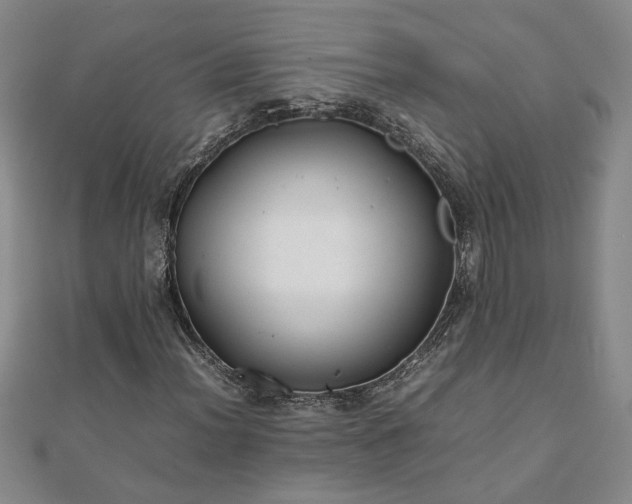 X0000111901012200908031112