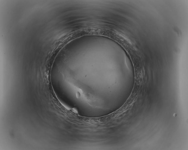 X0000111901013200908031112