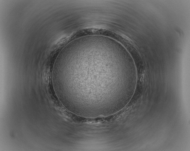 X0000111901014200908031112