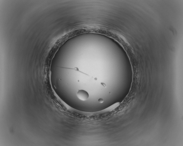 X0000111901016200908031112