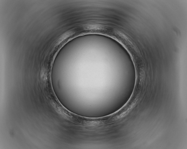 X0000111901017200908031112