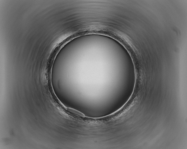 X0000111901018200908031112