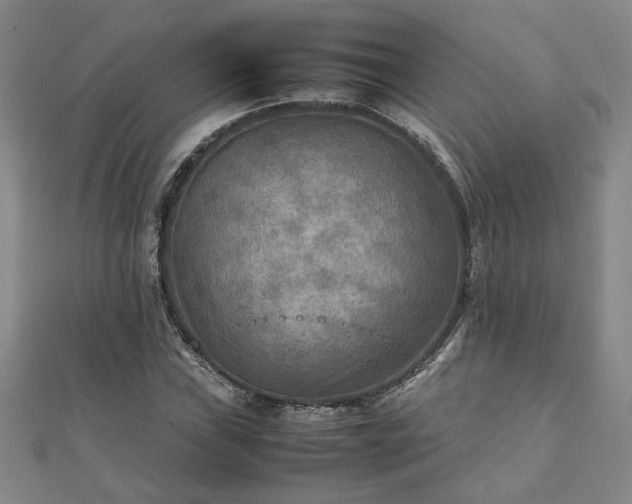 X0000111901019200908031112