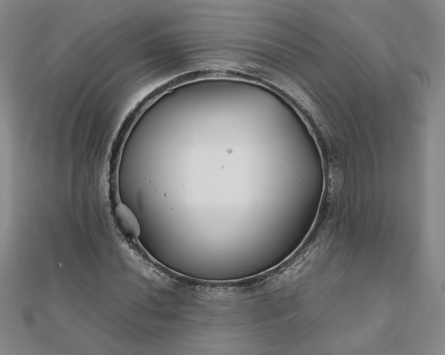 X0000111901020200908031112