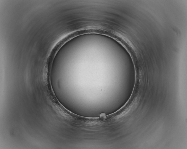 X0000111901021200908031112