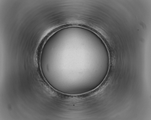 X0000111901022200908031112