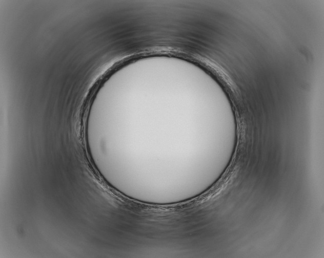 X0000111901023200908031112