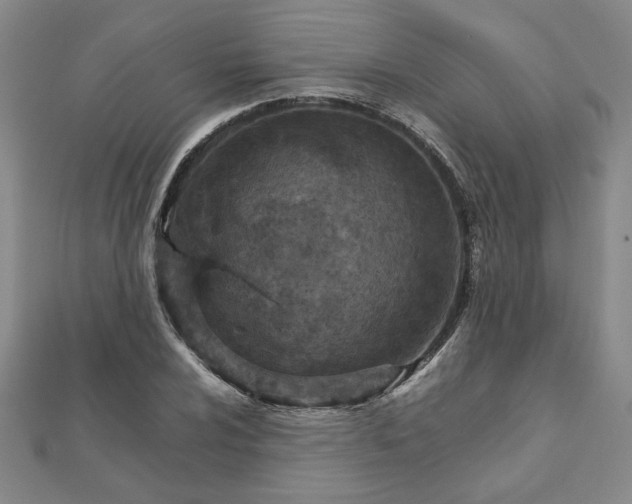 X0000111901024200908031113