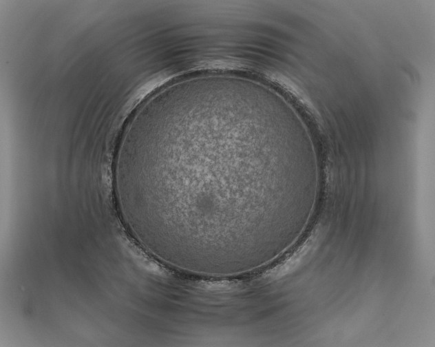 X0000111901025200908031113