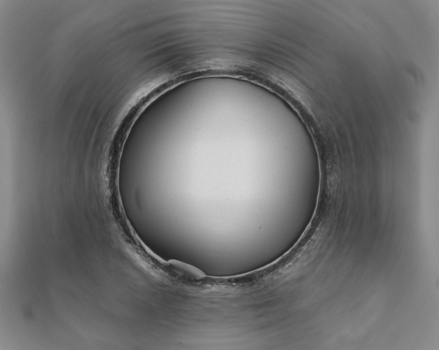 X0000111901026200908031113