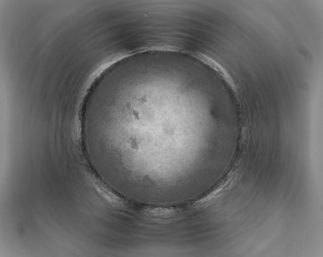 X0000111901027200908031113