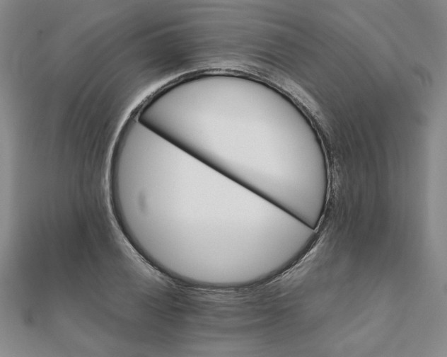 X0000111901028200908031113