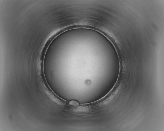 X0000111901029200908031113