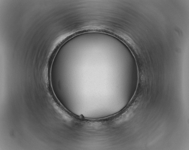 X0000111901030200908031113