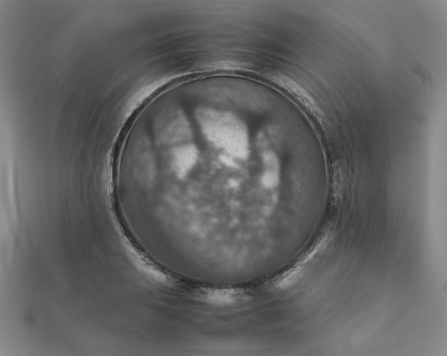 X0000111901031200908031113