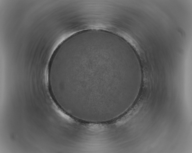 X0000111901032200908031113