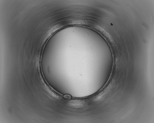 X0000111901033200908031113