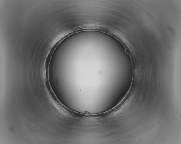 X0000111901034200908031113