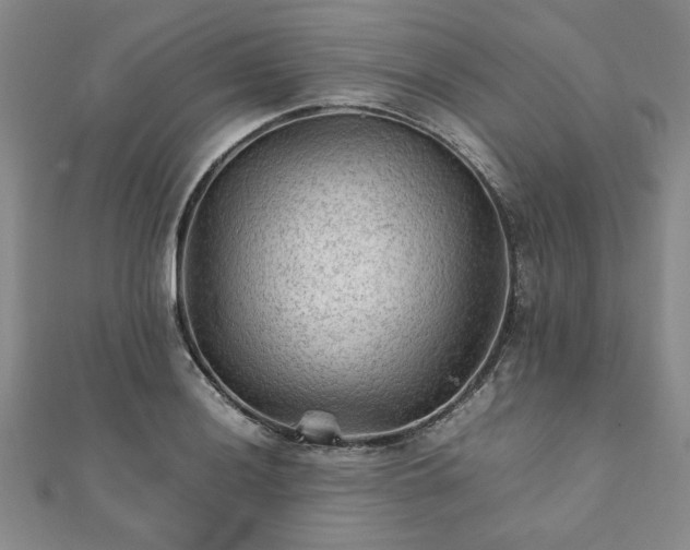 X0000111901036200908031113