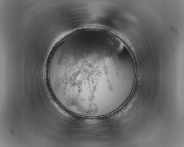 X0000111901037200908031113