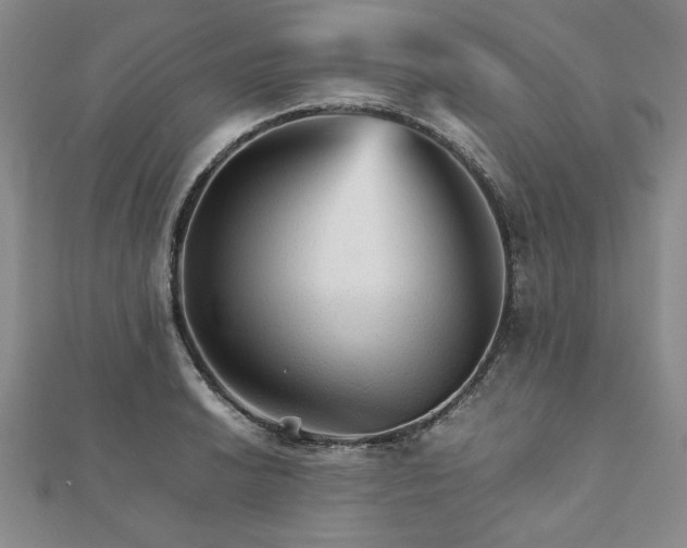 X0000111901038200908031113