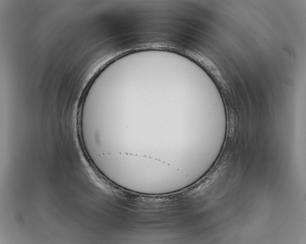 X0000111901039200908031113